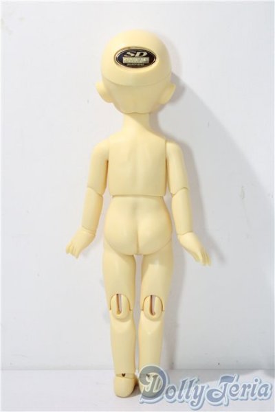 画像7: 幼sd/あゆむ U-26-01-07-213-TN-ZU (7)