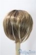 画像2: 8-9inch/ウィッグ U-26-01-07-017-TN-ZU (2)