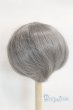 画像2: 9-10inch/ウィッグ U-26-01-14-227-TN-ZU (2)