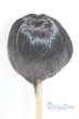 画像2: 9-10inch/ウィッグ U-26-01-14-280-TN-ZU (2)