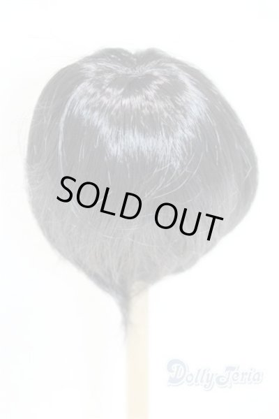 画像2: 9-10inch/ウィッグ U-26-01-14-280-TN-ZU (2)