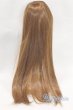 画像2: 9-10inch/ウィッグ U-26-01-14-283-TN-ZU (2)