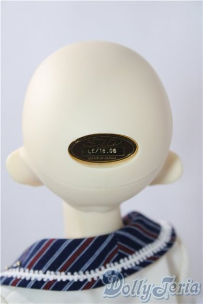 画像6: SDGr/ロリーナ　中原淳一・ぱたーん版〜ブラウス集 扉絵〜 U-26-01-14-216-TN-ZU (6)