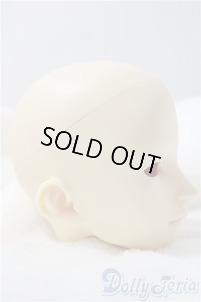 画像3: SD/F-71ヘッド U-26-01-14-208-TN-ZU (3)