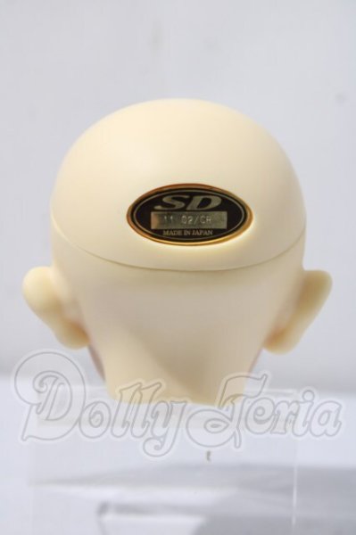 画像4: SD17/レイズナー U-26-03-18-216-TN-ZU (4)