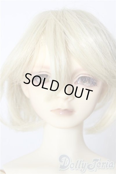 画像1: SD13男の子/ワンオフルカciera様 U-26-01-28-211-TN-ZU (1)