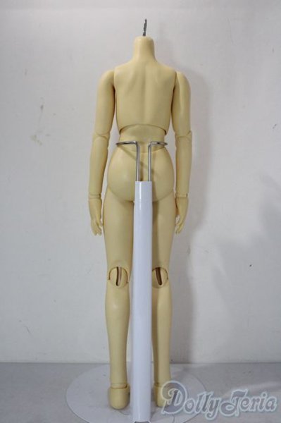 画像2: SDC/女の子ボディ U-26-01-21-173-TN-ZU (2)