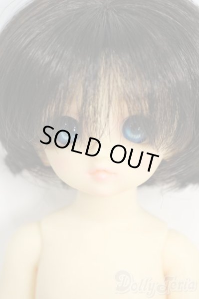 画像1: 幼SD/パピ Y-26-01-21-263-TN-ZY (1)