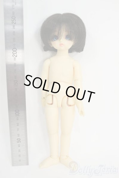 画像2: 幼SD/パピ Y-26-01-21-263-TN-ZY (2)