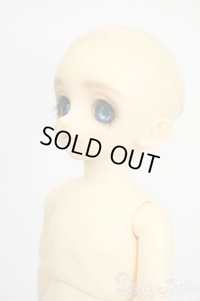 画像3: 幼SD/パピ Y-26-01-21-263-TN-ZY (3)