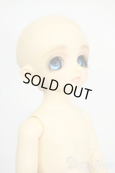 画像4: 幼SD/パピ Y-26-01-21-263-TN-ZY (4)