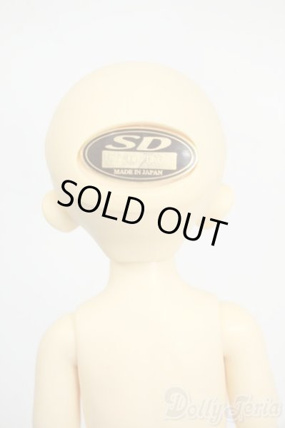 画像5: 幼SD/パピ Y-26-01-21-263-TN-ZY (5)