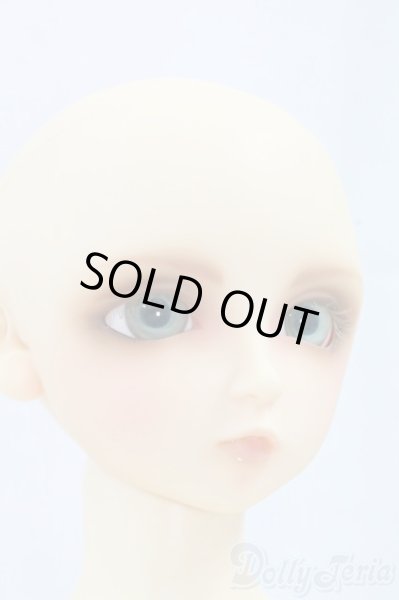 画像6: SD13/翔 I-26-02-08-057-TN-ZI (6)