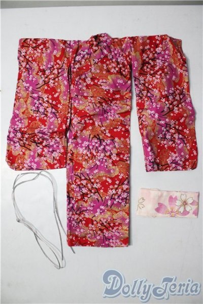 画像1: SDM＆MSD/OF:衣装セット U-26-01-28-156-TN-ZU (1)