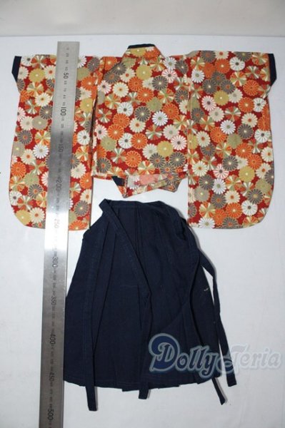 画像2: SDM＆MSD/OF:衣装セット U-26-02-11-138-TN-ZU (2)