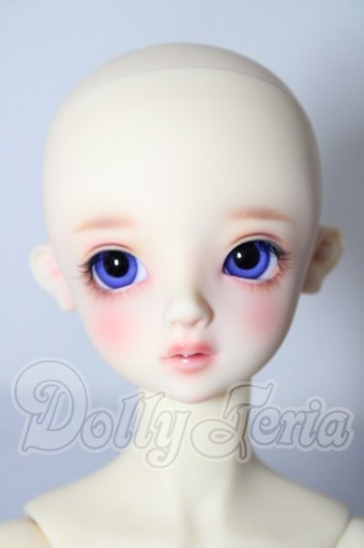 画像2: SD/アダプションモデル:ニコ U-26-02-18-219-TN-ZU (2)