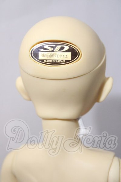 画像4: SDC/嵐 U-26-02-25-213-TN-ZU (4)