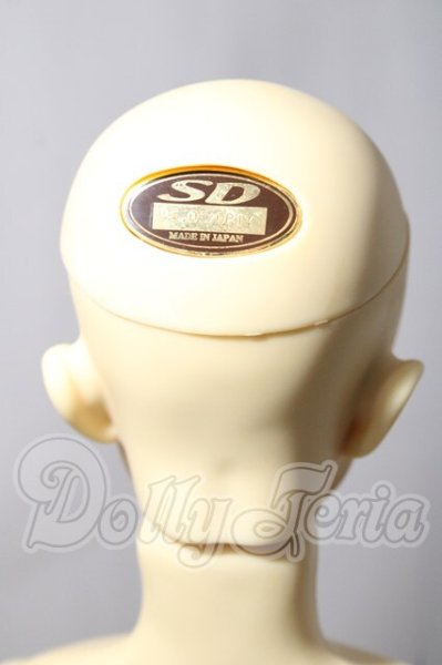 画像5: sd13男の子/ヒース U-26-02-25-215-TN-ZU (5)