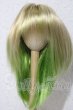 画像1: 7-8inch/ウィッグ U-26-03-04-008-TN-ZU (1)