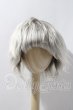画像1: 9-10inch/ウィッグ U-26-03-11-203-TN-ZU (1)