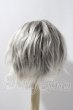画像2: 9-10inch/ウィッグ U-26-03-11-203-TN-ZU (2)