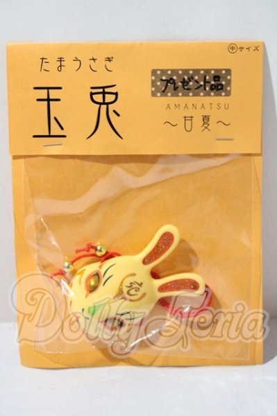 画像1: SDM＆MSD/OF:小物 U-26-03-18-156-TN-ZU (1)