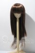 画像1: 8-9inch/ウィッグ U-26-03-18-010-TN-ZU (1)