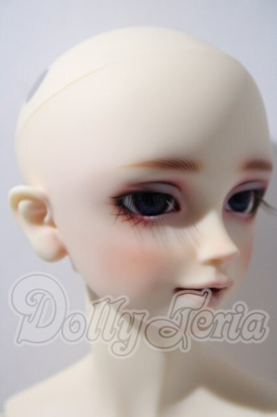 画像3: SDGrB/フルチョイスF-17 U-26-04-01-212-TN-ZU (3)