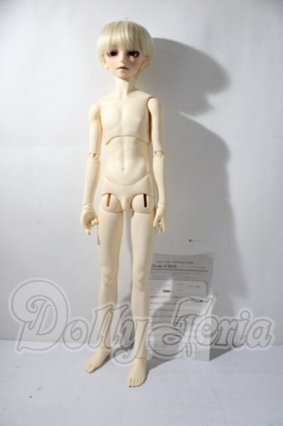 画像7: SDGrB/フルチョイスF-17 U-26-04-01-212-TN-ZU (7)