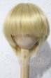 画像1: 7-8inch/ウィッグ U-26-04-15-028-TN-ZU (1)