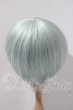 画像2: 8-9inch/ウィッグ U-26-04-08-010-TN-ZU (2)