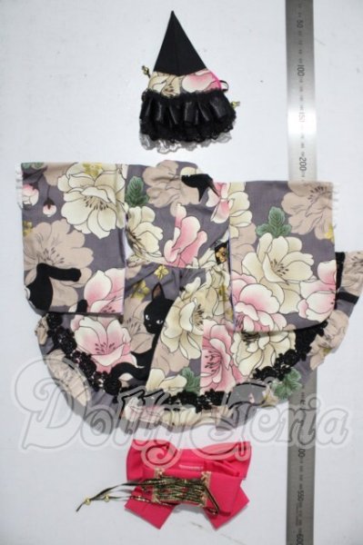 画像2: SDM＆MSD/OF:衣装セット U-26-04-08-167-TN-ZU (2)