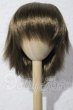 画像1: 9-10inch/ウィッグ U-26-04-29-020-TN-ZU (1)