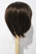 画像2: 7-8inch/ウィッグ U-26-04-29-014-TN-ZU (2)