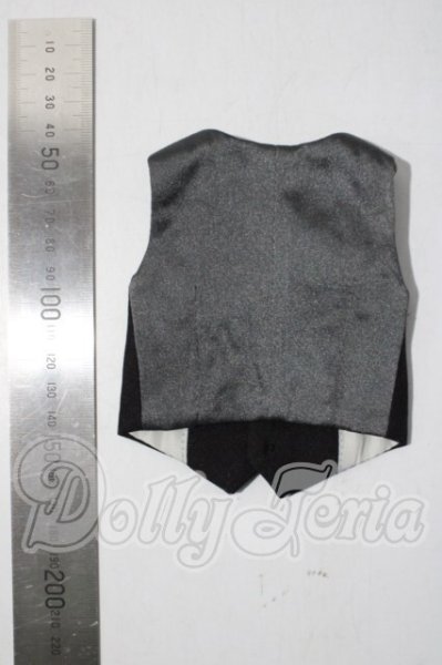 画像2: SDM＆MSD/OF:ベスト U-26-04-15-177-TN-ZU (2)