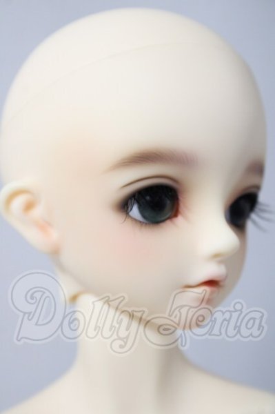 画像3: SDM/F-31　コーディネートモデル U-26-04-15-214-TN-ZU (3)