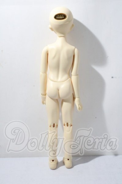 画像7: SDM/F-31　コーディネートモデル U-26-04-15-214-TN-ZU (7)