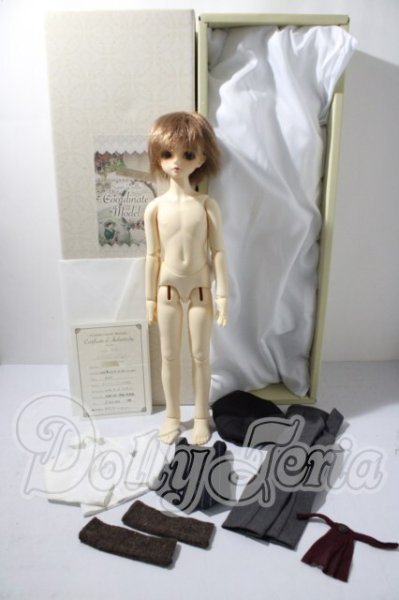 画像8: SDM/F-31　コーディネートモデル U-26-04-15-214-TN-ZU (8)