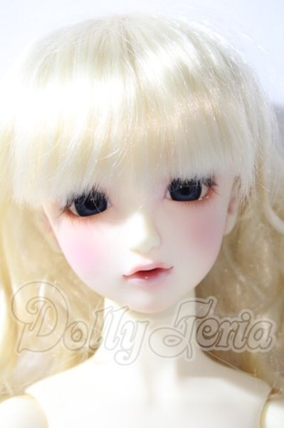 画像1: SD/フルチョイスSD-F-61 U-26-04-22-208-TN-ZU (1)