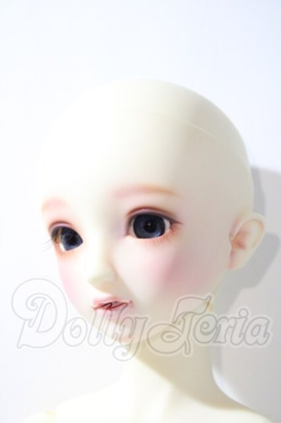 画像2: SD/フルチョイスSD-F-61 U-26-04-22-208-TN-ZU (2)