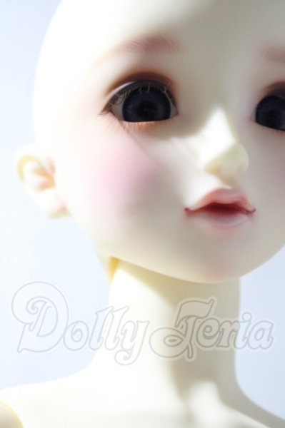 画像6: SD/フルチョイスSD-F-61 U-26-04-22-208-TN-ZU (6)