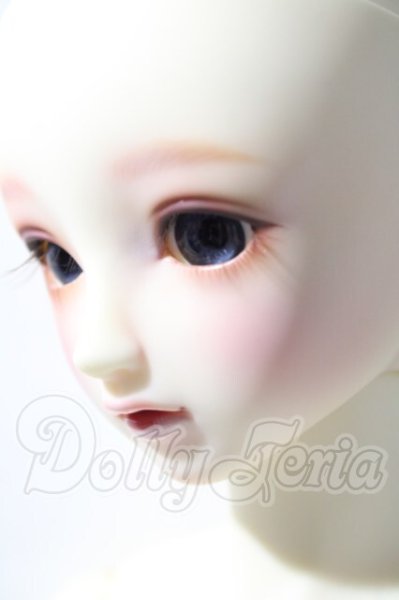 画像7: SD/フルチョイスSD-F-61 U-26-04-22-208-TN-ZU (7)