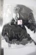 画像2: SD＆DD/ドルフィーフェザー U-26-04-29-166-TN-ZU (2)