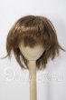 画像1: 9-10inch/ウィッグ U-26-05-12-021-TN-ZU (1)