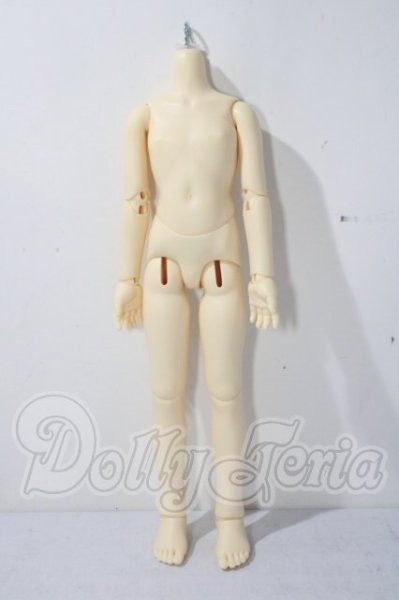 画像1: SDMGIRL/ボディ U-26-05-20-211-TN-ZU (1)