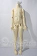 画像1: SD13BOY/ボディ U-26-05-13-212-TN-ZU (1)