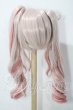 画像2: 8-9inch/ウィッグ　Rosenlia Doll様製 U-26-05-27-006-TN-ZU (2)