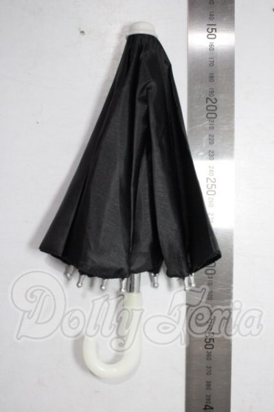 画像3: SDM/OF：傘 U-26-06-03-210-TN-ZU (3)