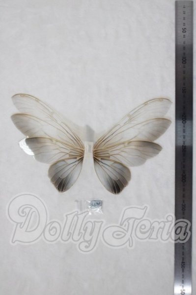 画像2: 1/6/paraiso doll/羽根 U-26-07-08-198-TN-ZU (2)