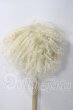 画像2: 8-9/inch モヘアウィッグ U-26-06-03-035-TN-ZU (2)